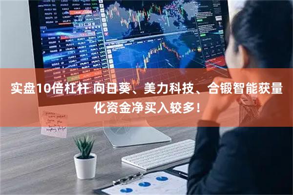 实盘10倍杠杆 向日葵、美力科技、合锻智能获量化资金净买入较多！
