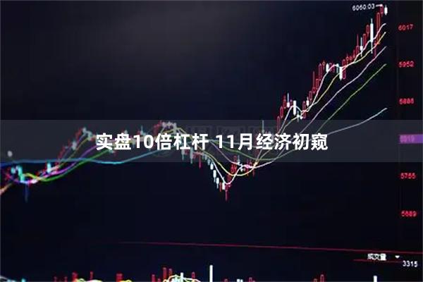 实盘10倍杠杆 11月经济初窥